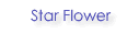 star flower